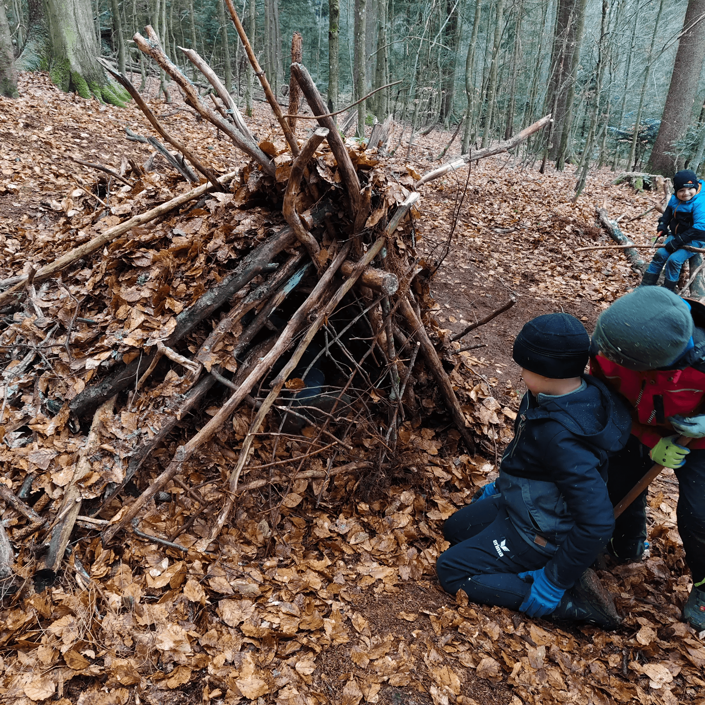 Hütte im Wald
